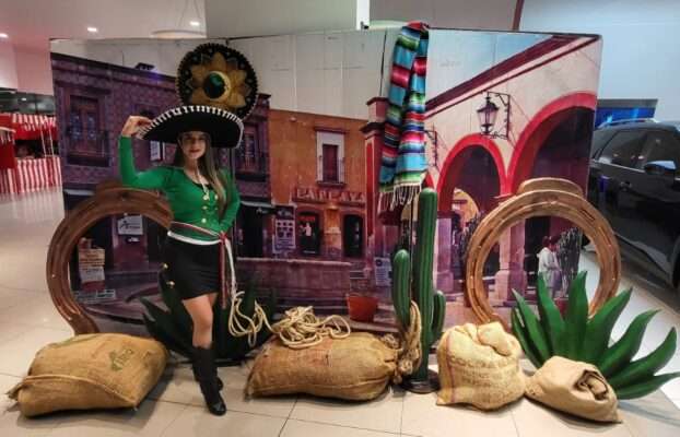 Set Premium - Mampara con edecan