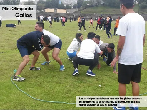 MiniOlimpiada Pelea Gallos