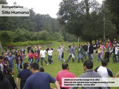 Rompehielos Pajaro Arbol